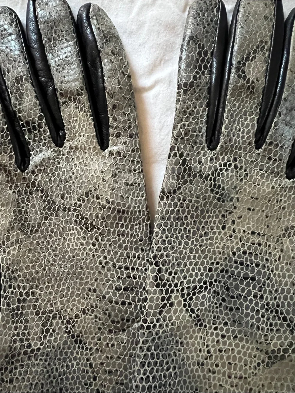 Black and Gray Leather Gloves with Textured Snakeskin front